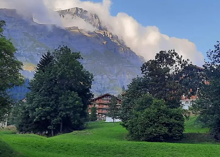 Noyer C 로이커바드